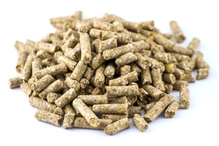 bentonite cattle feed