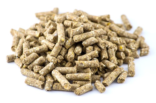 bentonite cattle feed