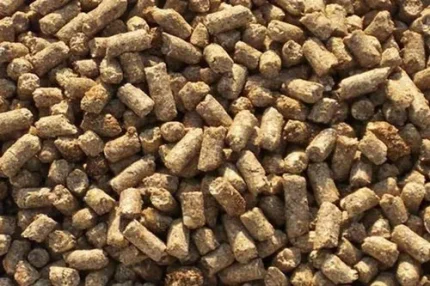 Protein Based Cattle feed Pellets