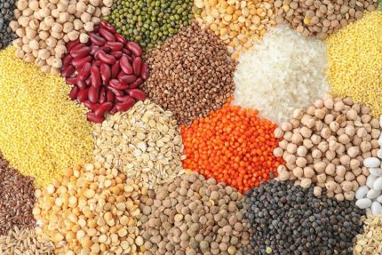 Pulses and Grains