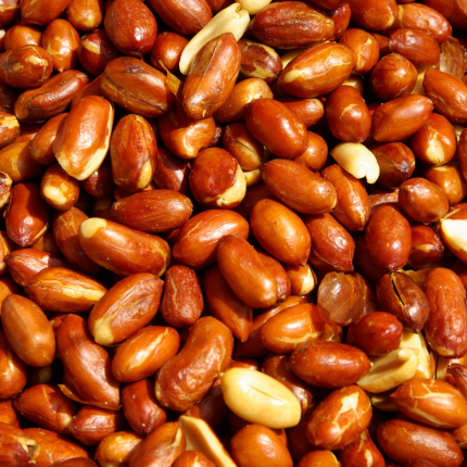 Bold Peanuts